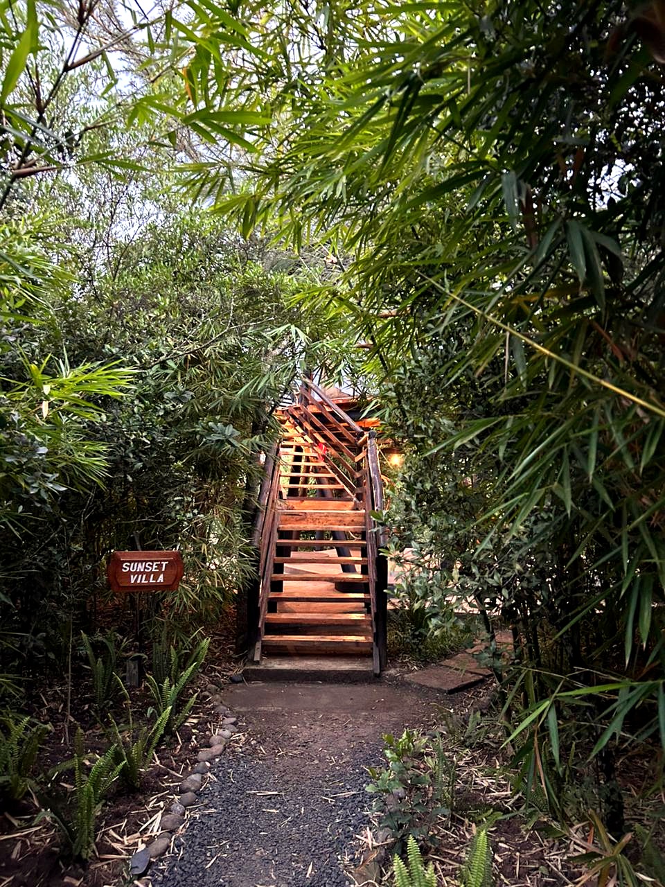 The bamboo-lined path to Sunset Villa