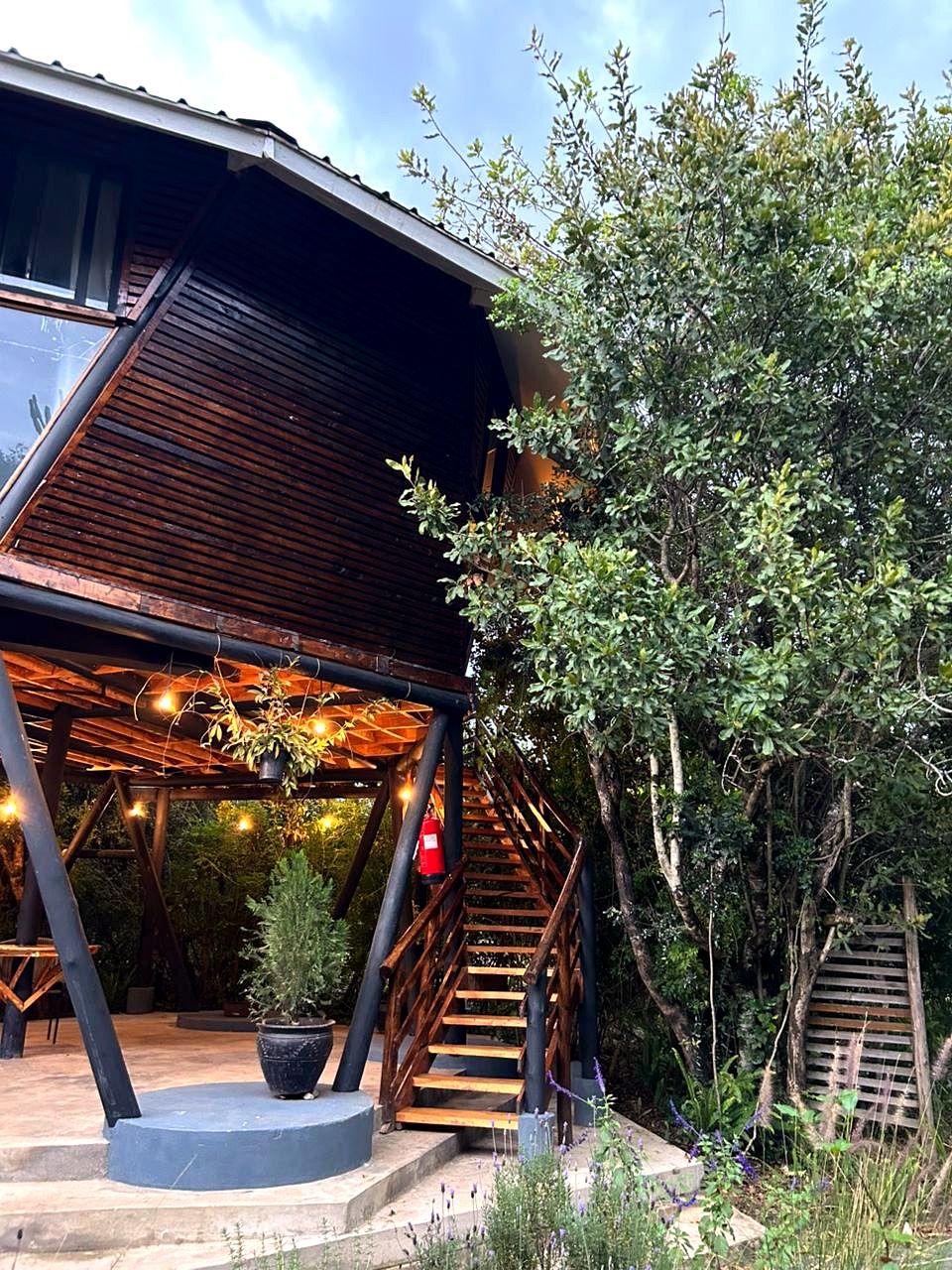 Daiga Suite exterior at dusk